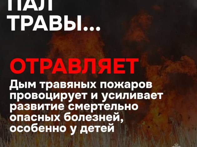 Пал травы